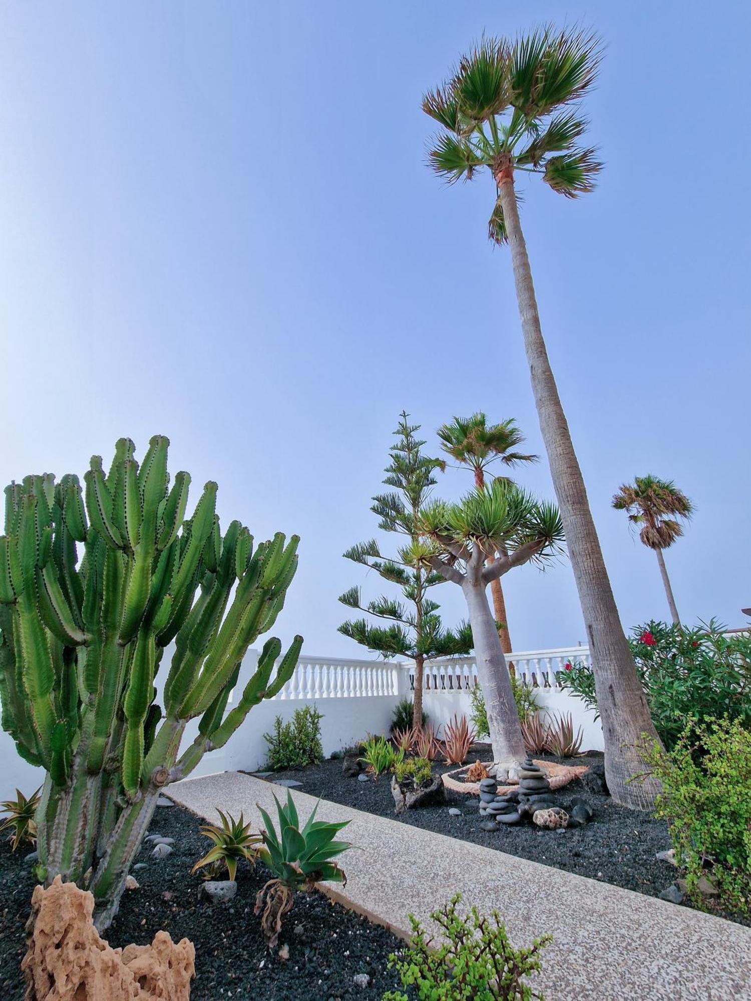 Villa La Maja Beachfront Corralejo Eksteriør billede